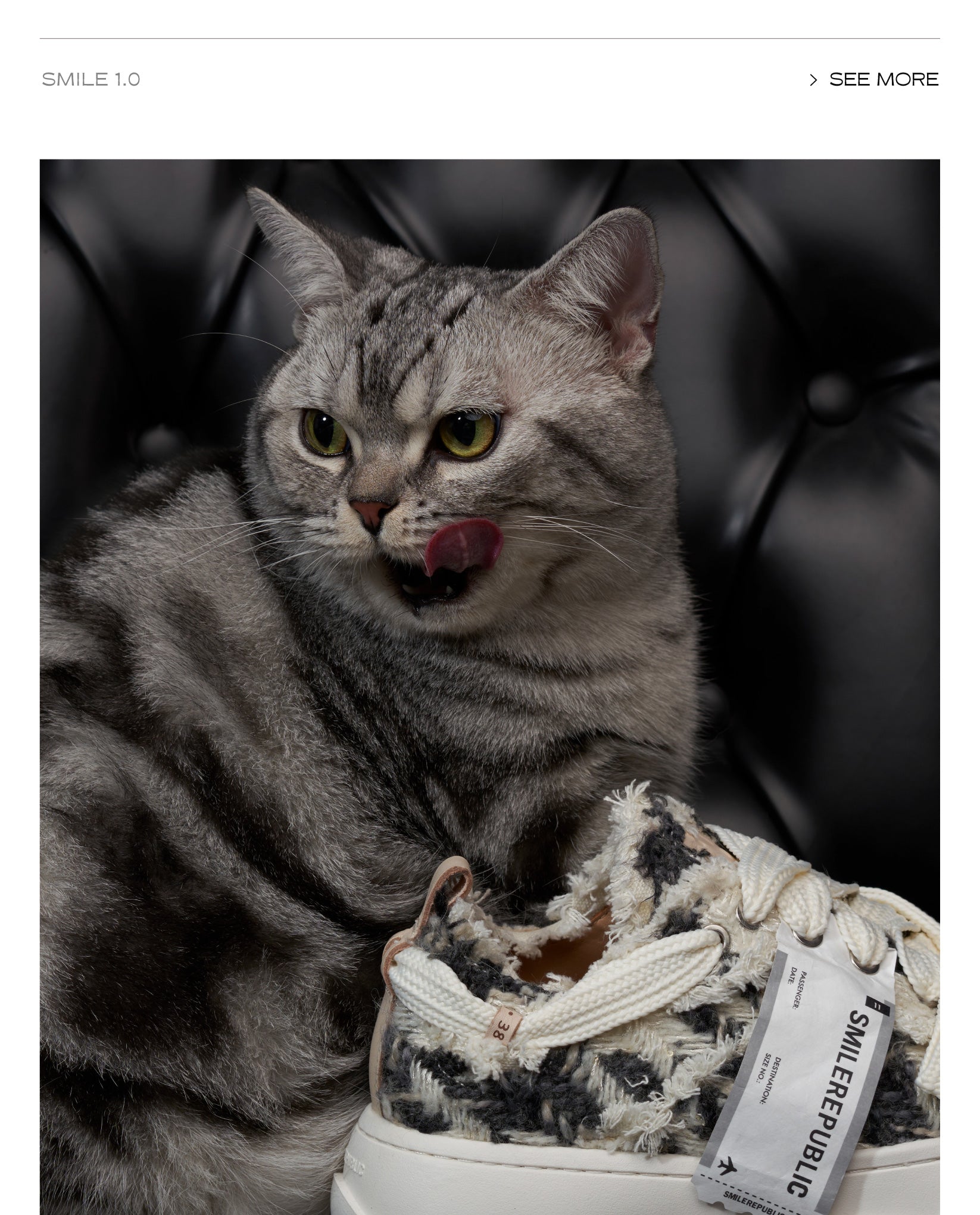 Black White Chevron SB Sneaker