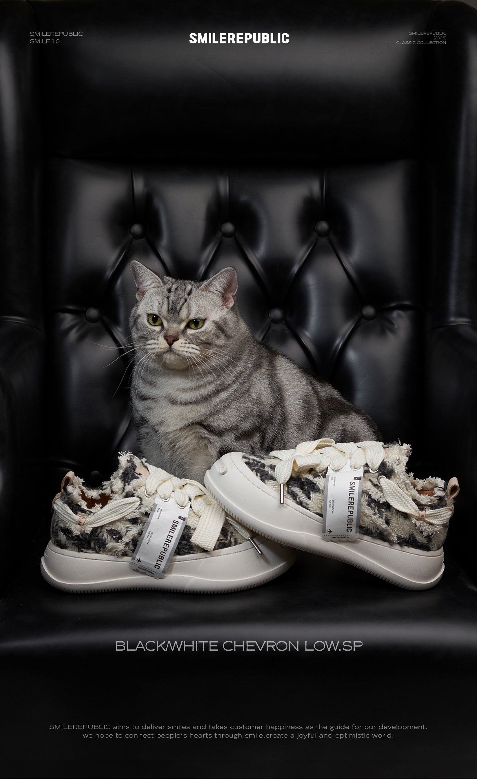 Black White Chevron SB Sneaker